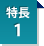 特長1